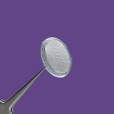 A close-up of a BioTissue Prokera Amniotic Membrane delicately holding a clear, round lens against a solid purple background.