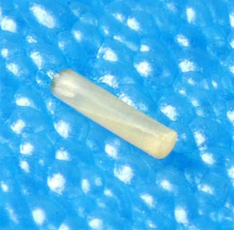 Oasis SOFT PLUG Collagen Intracanallcular Plugs (60pack) 3 Sizes