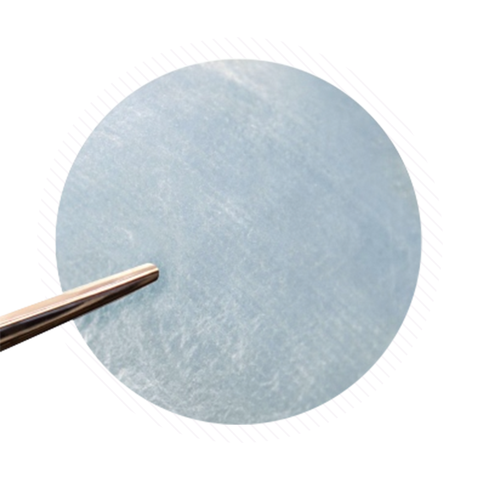 AmnioWorks Human Amniotic Membrane (Dehydrated) Bi-Directional