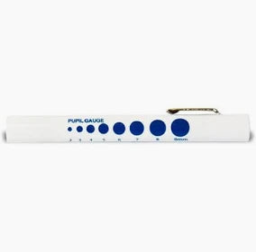 Pen Light, Disposable, 6/Pack